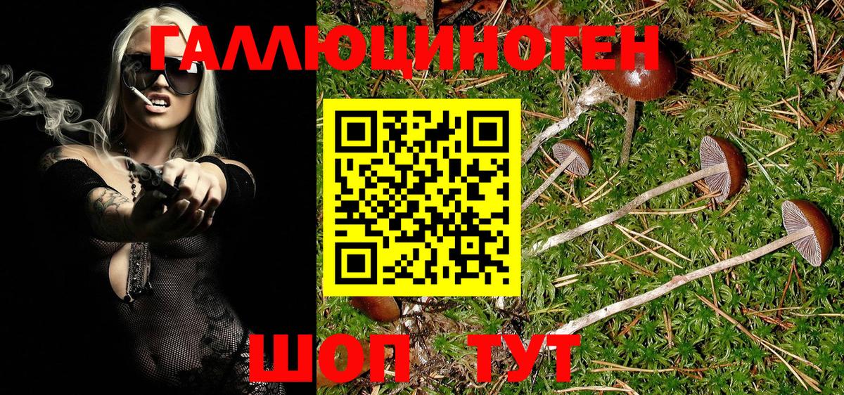 где продают   Вход с VPN  Псилоцибиновые грибы MAGIC MUSHROOMS  Серпухов  Псилоцибиновые грибы GOLDEN TEACHER 