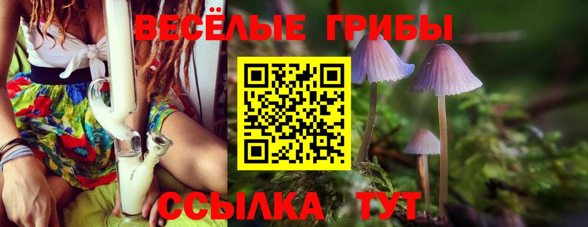 Псилоцибиновые грибы мухоморы Серпухов